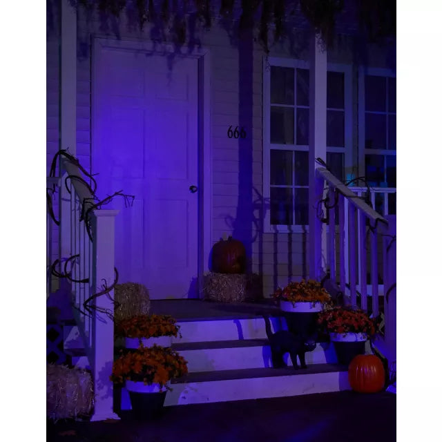 Black Light Strobe Spotlight