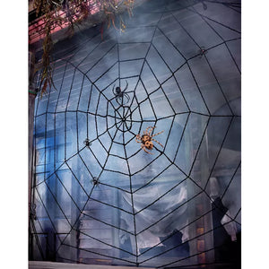 9 Ft Black Rope Spider Web Decoration