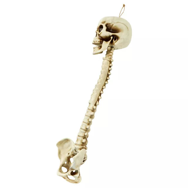 Skull Hanging Decoration