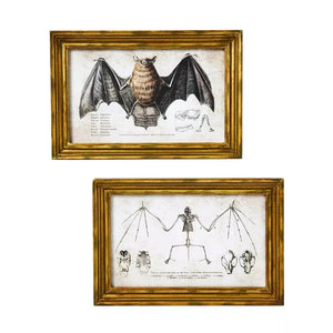 Bat Sign Set - 2 Piece
