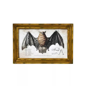 Bat Sign Set - 2 Piece