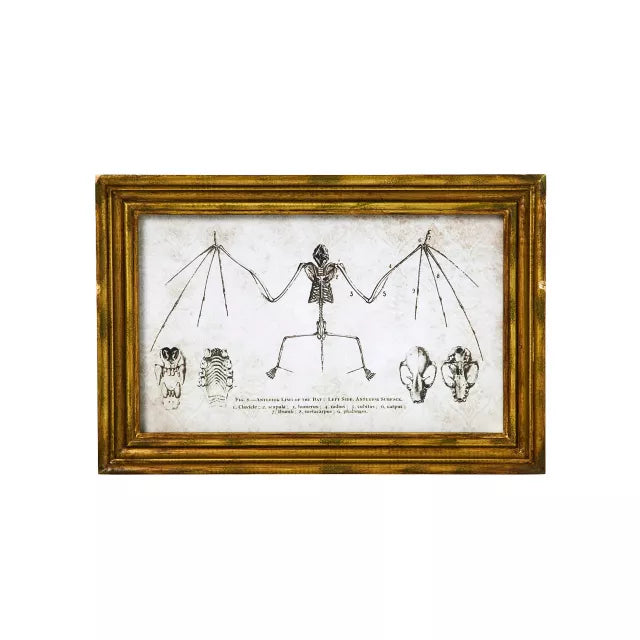 Bat Sign Set - 2 Piece