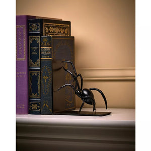 Enchanted Spider and Web Bookends