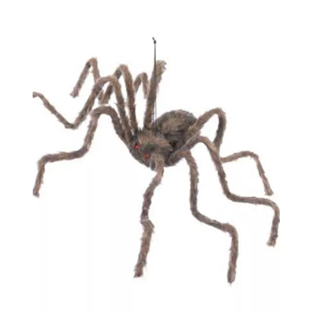 50 Inch Hairy Spider