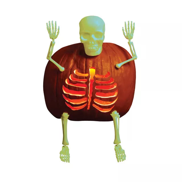 Glow in the Dark Skeleton Bones