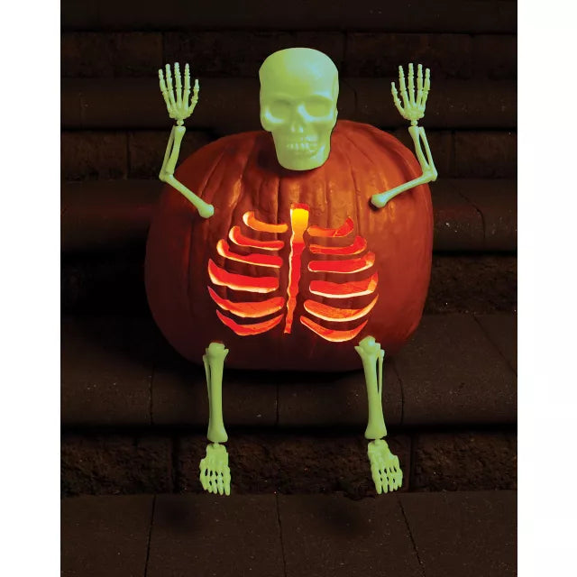 Glow in the Dark Skeleton Bones