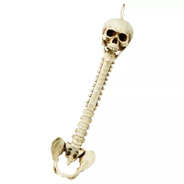 Skull Hanging Decoration