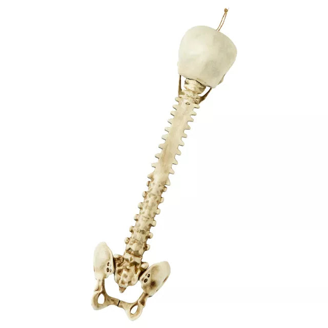 Skull Hanging Decoration