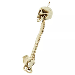 Skull Hanging Decoration