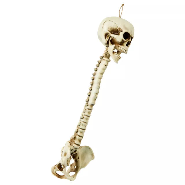 Skull Hanging Decoration