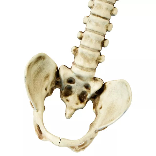 Skull Hanging Decoration