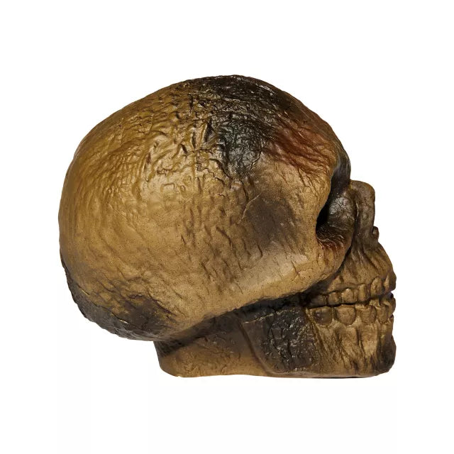 Burnt Skull