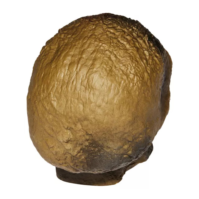 Burnt Skull
