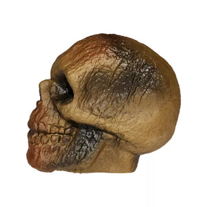 Burnt Skull