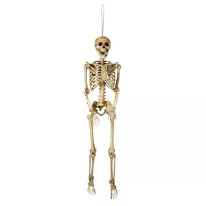 5 Ft Poseable Decayed Skeleton