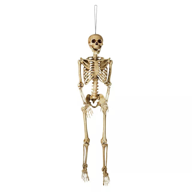 5 Ft Poseable Decayed Skeleton