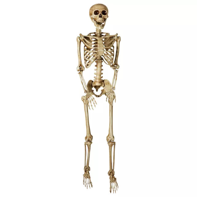 5 Ft Poseable Decayed Skeleton