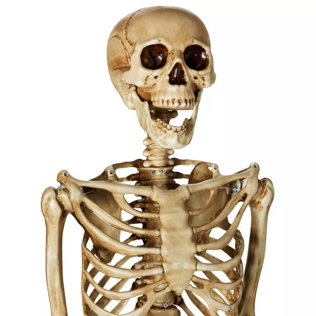 5 Ft Poseable Decayed Skeleton