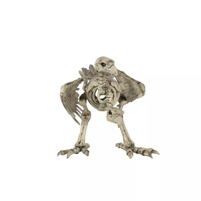 Two-Headed Vulture Skeleton