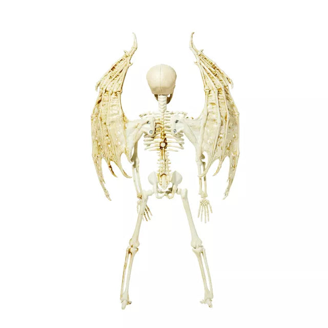 Angel Skeleton Static Prop