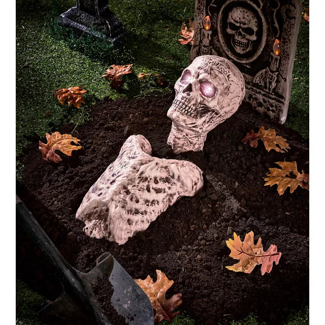 Ground Breaking Skin Torso Skeleton Prop