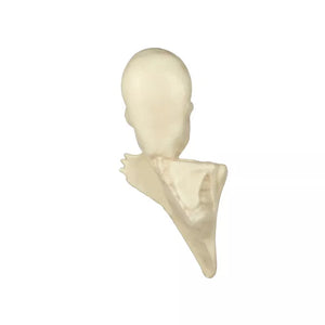 Skeleton Tree Mount Decoration