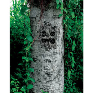 Spooky Tree Face