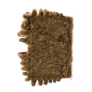 The Monster Book of Monsters Trinket Box - Harry Potter