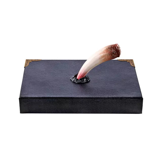 Tom Riddle's Diary Book Box - Harry Potter