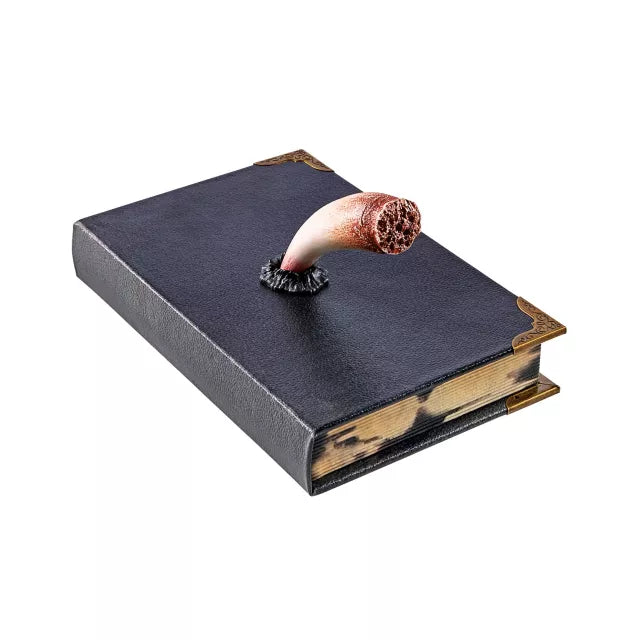 Tom Riddle's Diary Book Box - Harry Potter