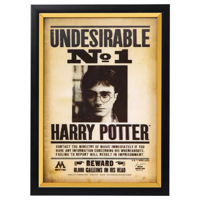 Harry Potter Wanted Mugshot Sign