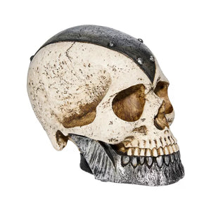 6 Inch Iron Armored Skull